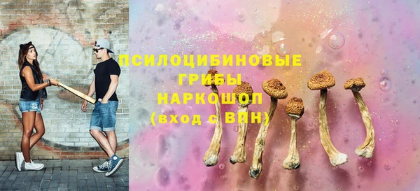 ПСИЛОЦИБИНОВЫЕ ГРИБЫ Верхний Тагил