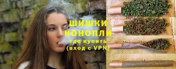 ПСИЛОЦИБИНОВЫЕ ГРИБЫ Верхний Тагил