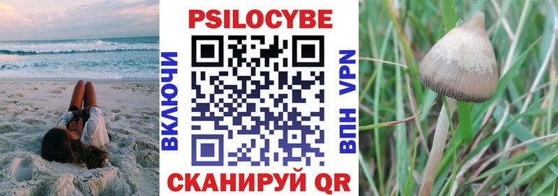 Псилоцибиновые грибы GOLDEN TEACHER  Уссурийск 